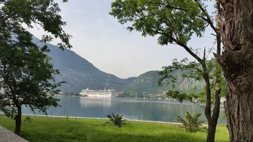 Fiumera Kotor Apartment Pokój zdjęcie